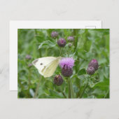 Niedliche Cabbage White Butterfly DIY Postkarte (Vorne/Hinten)