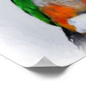 Niedliche Caique Parrots Inspiration Zitat Poster (Ecke)