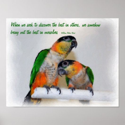 Niedliche Caique Parrots Inspiration Zitat Poster (Vorne)