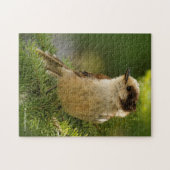 Niedliche Canada Jay / Grau Jay / Whiskeyjack Puzzle (Horizontal)