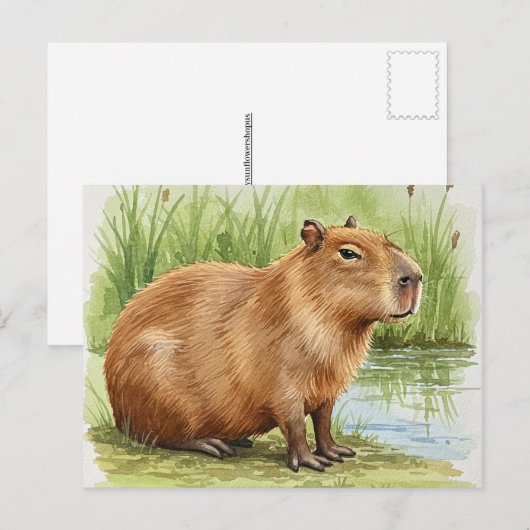 Niedliche Capybara Postkarte (Vorne/Hinten)