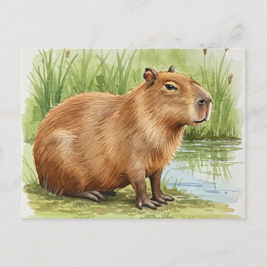 Niedliche Capybara Postkarte (Vorderseite)