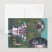 Niedliche Carolina Duck DIY Postkarte (Vorne/Hinten)
