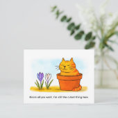 Niedliche Cartoon-Katze sitzt in Frühlingsblumen Postkarte (Stehend Vorderseite)