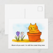 Niedliche Cartoon-Katze sitzt in Frühlingsblumen Postkarte (Vorne/Hinten)