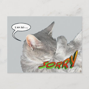 Niedliche Cat Appology Postcard Postkarte