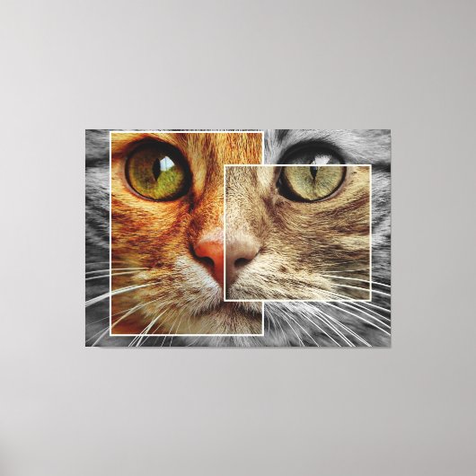 Niedliche Cat Face Collage Canvas Print Leinwanddruck (Vorderseite)