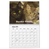 Niedliche Cat-Fotos mit Spaß-Redewendungen Kalender (Jan 2027)