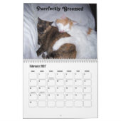 Niedliche Cat-Fotos mit Spaß-Redewendungen Kalender (Feb 2027)
