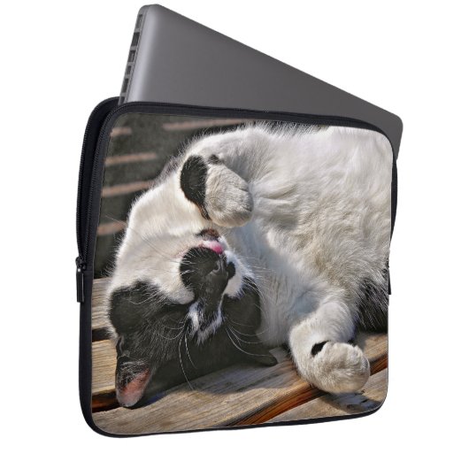 NIEDLICHE CAT LAPTOPSCHUTZHÜLLE (Vorne Rechts)