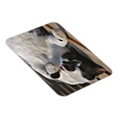 NIEDLICHE CAT MAGNET (Rechte Seite)