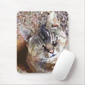 NIEDLICHE CAT MOUSEPAD (Mit Mouse)