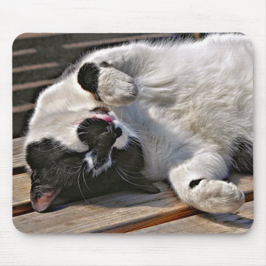 NIEDLICHE CAT MOUSEPAD (Vorne)