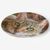 Niedliche Cat-Papier-Teller Pappteller (Schrägansicht)