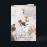 Niedliche Cat Pawty Time Geburtstagskarte Karte<br><div class="desc">Im Design sind niedliche weiße Kätzchen mit Kleider und ihre grauen Kätzchen,  die ein Party aus weißem Gewebe werfen. Nachricht von außen - "Es ist armselige Zeit". Nachricht auf drinnen - "Lass den Konfetti fallen,  wo er kann". Klicken Sie auf die Schaltfläche Personalisieren,  um Nachrichten anzupassen.</div>