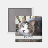 Niedliche Cat Pet Liebhaber Erstellen Sie Ihr eige Magnet (Vorderseite/Rückseite)