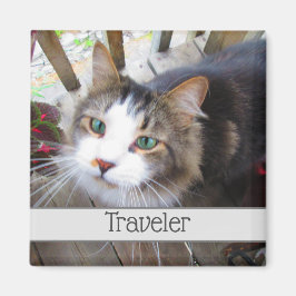 Niedliche Cat Pet Liebhaber Erstellen Sie Ihr eige Magnet