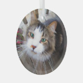 Niedliche Cat Pet Liebhaber Erstellen Sie Ihre eig Ornament Aus Glas (Vorderseite Rechts)