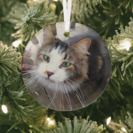 Niedliche Cat Pet Liebhaber Erstellen Sie Ihre eig Ornament Aus Glas