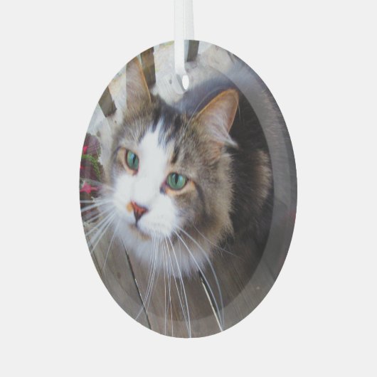 Niedliche Cat Pet Liebhaber Erstellen Sie Ihre eig Ornament Aus Glas (Vorderseite links)