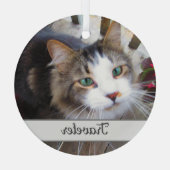 Niedliche Cat Pet Liebhaber Erstellen Sie Ihre eig Ornament Aus Glas (Rückseite)