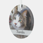 Niedliche Cat Pet Liebhaber Erstellen Sie Ihre eig Ornament Aus Glas (Vorderseite links)