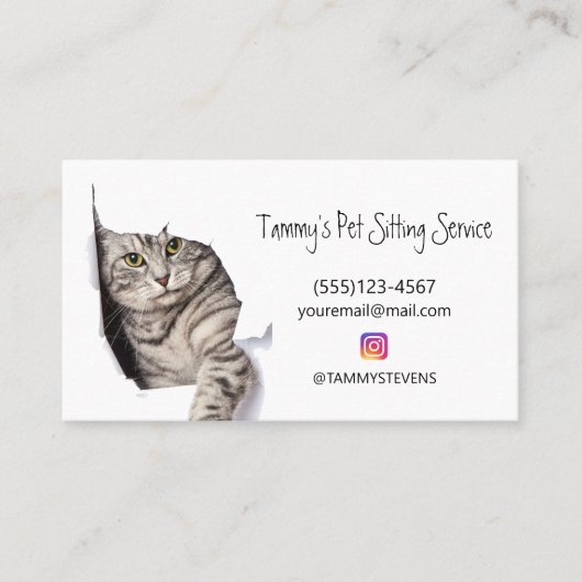 Niedliche Cat Pet Sitting Service Social Media Visitenkarte (Vorderseite)