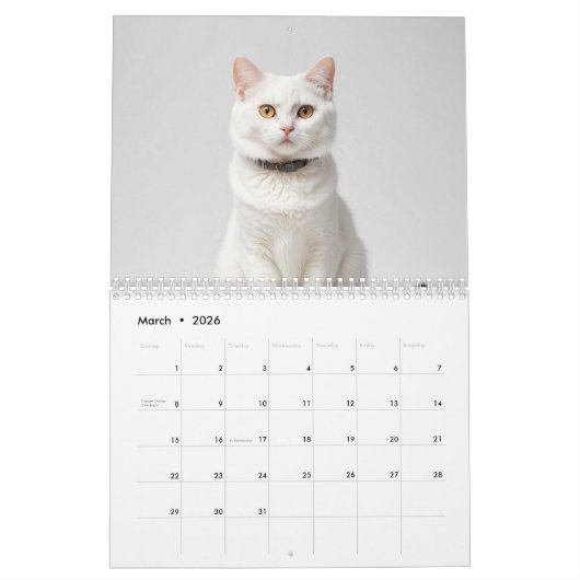 Niedliche Chat-Foto-Familie Kalender (Mär 2026)