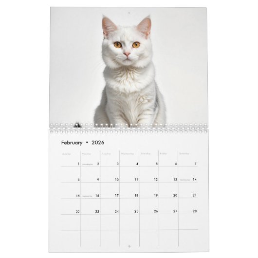 Niedliche Chat-Foto-Familie Kalender (Feb 2026)
