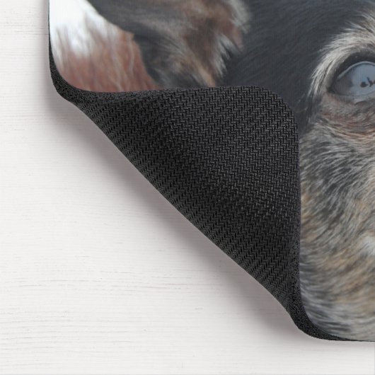 Niedliche Chihuahua-Foto-Mausunterlage Mousepad (Ecke)