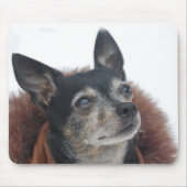 Niedliche Chihuahua-Foto-Mausunterlage Mousepad (Vorne)