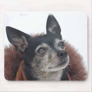 Niedliche Chihuahua-Foto-Mausunterlage Mousepad