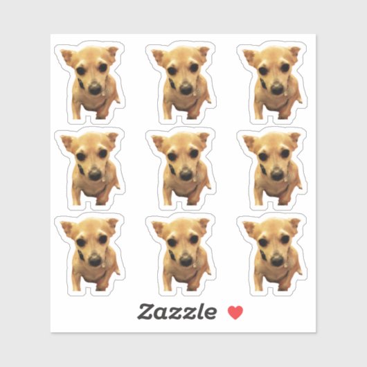 Niedliche Chihuahua-Hunde 4Carly Aufkleber (Blatt)