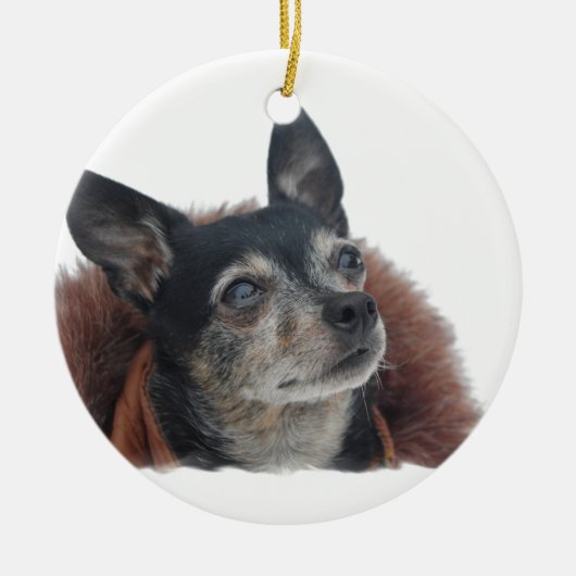 Niedliche Chihuahua-Verzierung Keramikornament (Vorne)
