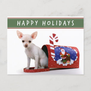 Niedliche Chihuahua Weihnachtspostkarte Feiertagspostkarte