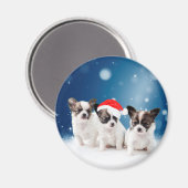 Niedliche Chihuahua Welpen mit Weihnachtsmannmütze Magnet (Vorderseite/Rückseite)