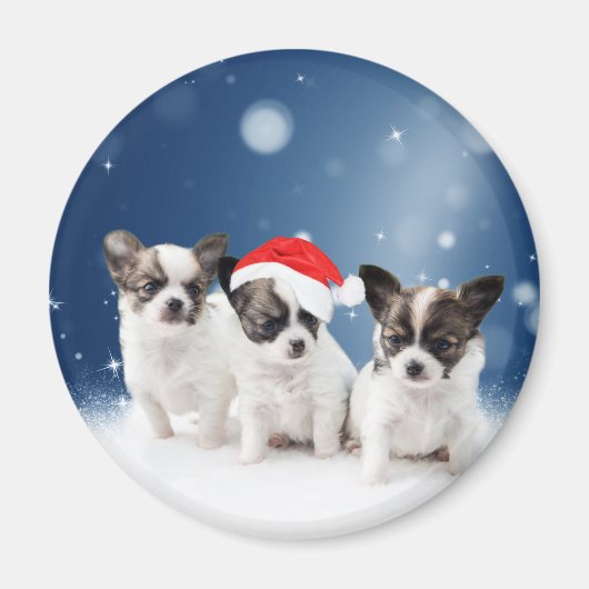 Niedliche Chihuahua Welpen mit Weihnachtsmannmütze Magnet (Vorne)
