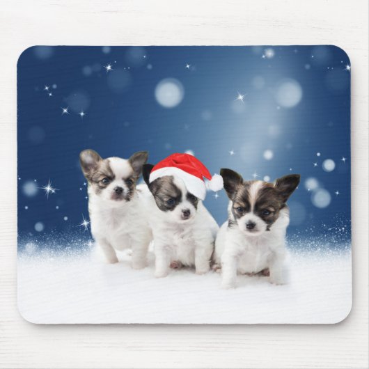 Niedliche Chihuahua Welpen mit Weihnachtsmannmütze Mousepad (Vorne)