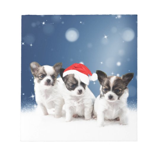 Niedliche Chihuahua Welpen mit Weihnachtsmannmütze Notizblock (Vorderseite)