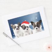 Niedliche Chihuahua Welpen mit Weihnachtsmannmütze Rechteckiger Aufkleber (Umschlag)