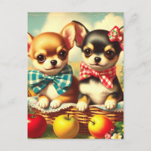 Niedliche Chihuahua Welpen Postkarte