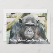 NIEDLICHE CHIMPANZEES EINLADUNG (Vorderseite)