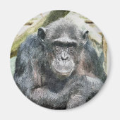 NIEDLICHE CHIMPANZEES MAGNET (Vorne)