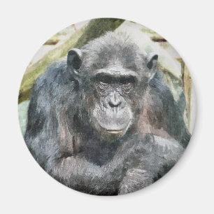 NIEDLICHE CHIMPANZEES MAGNET