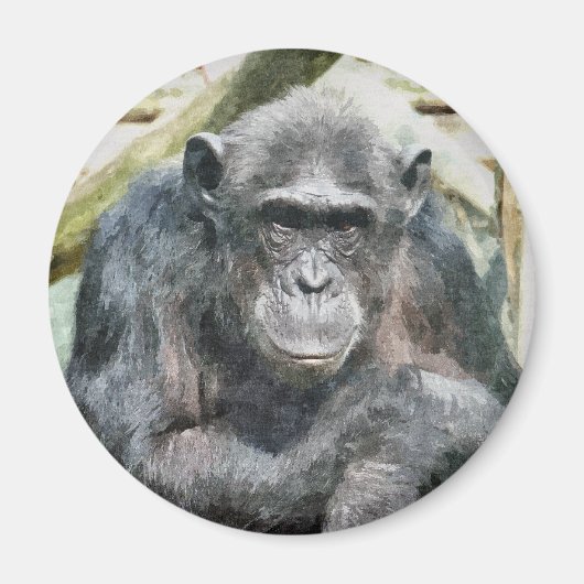 NIEDLICHE CHIMPANZEES MAGNET (Vorne)
