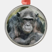 NIEDLICHE CHIMPANZEES SILBERNES ORNAMENT (Vorne)