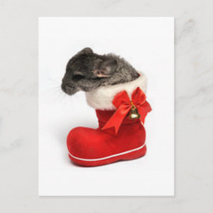 Niedliche Chinchilla im WeihnachtsStrumpf Feiertagspostkarte