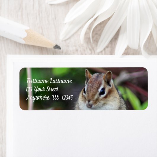Niedliche Chipmunk-Tieradresse (Insitu)