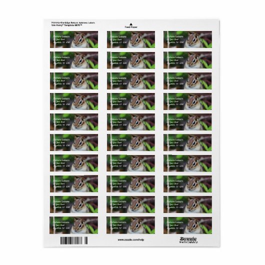 Niedliche Chipmunk-Tieradresse (Vorne)