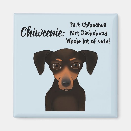 Niedliche Chiweenie Aufwertung Chihuahua Dackel Magnet (Vorne)